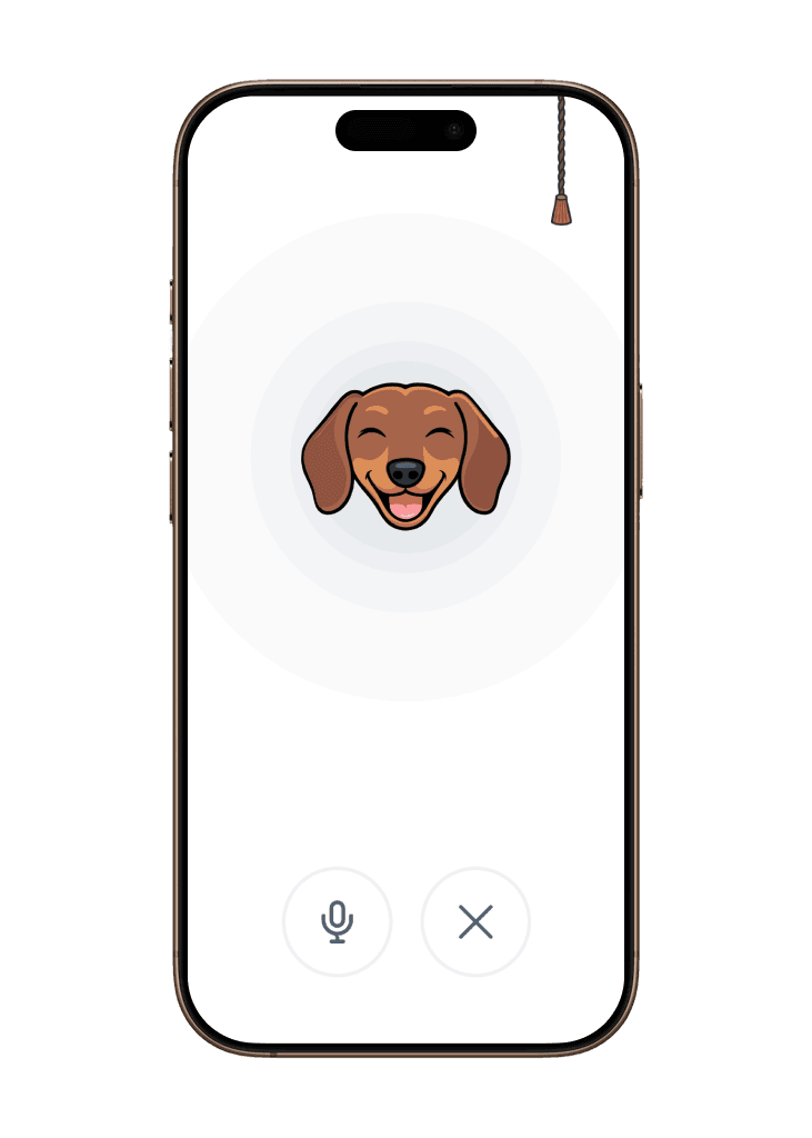 Voice screen